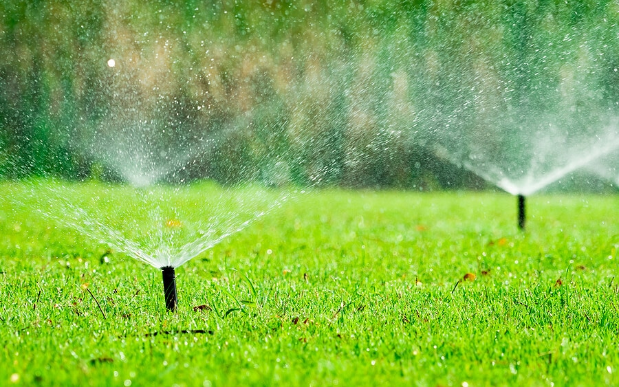 motion activated sprinkler for squirrels