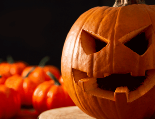How to Prevent Pumpkins from Rotting
