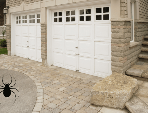 How to Keep Spiders Out of Your Garage