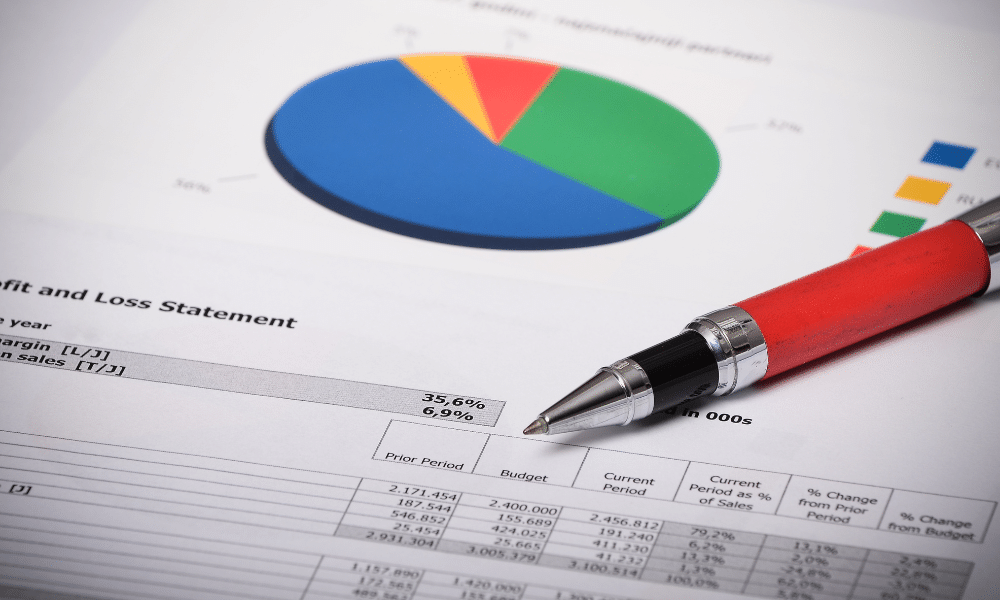 Profit and Loss Statement of Investor for Tax Filling