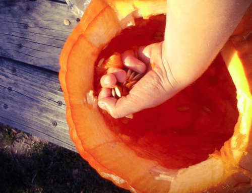 How To Clean A Pumpkin For Halloween